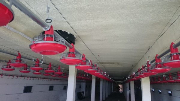 Realizacje ocieplenia pianką izolacja sufitu Rudawka