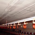 Realizacje PUR ferma drobiu Potoczyzna
